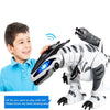 Image of Remote Control Dinosaur Robots Walking Singing Electronic Dinosaurio Toys Interactive RC Robots Toys For Kids Boys
