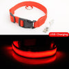 Image of USB Charging Led Dog Collar Anti-Lost/Avoid Car Accident