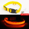 Image of USB Charging Led Dog Collar Anti-Lost/Avoid Car Accident