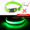 Image of USB Charging Led Dog Collar Anti-Lost/Avoid Car Accident