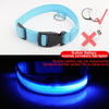 Image of USB Charging Led Dog Collar Anti-Lost/Avoid Car Accident