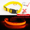 Image of USB Charging Led Dog Collar Anti-Lost/Avoid Car Accident