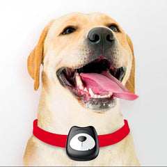 Smart Waterproof IP67 MiNi Pet GPS LBS Tracking Tracker Collar For Dog Cat Real Time Free APP WIFI LBS Positioning Geo-Fence