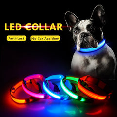 USB Charging Led Dog Collar Anti-Lost/Avoid Car Accident